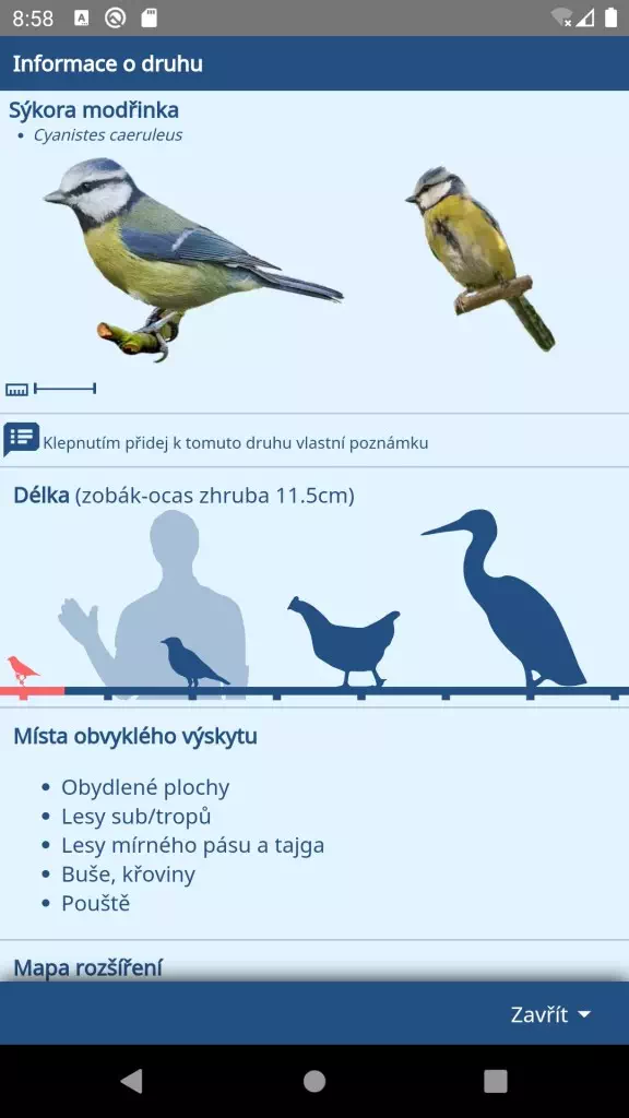 Podrobnosti o jednotlivých ptačích druzích