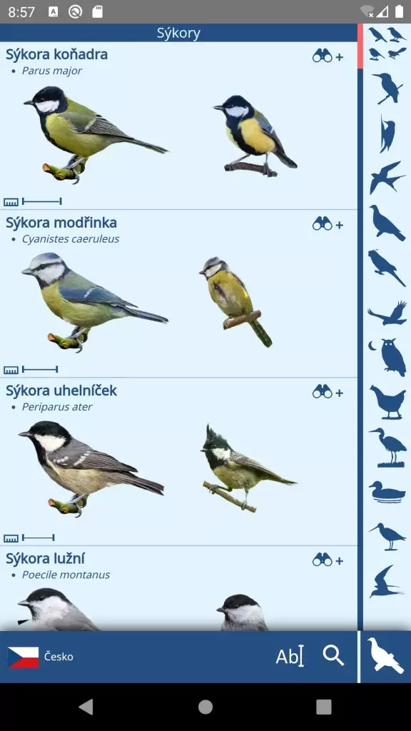 Snímek obrazovky – Seznam ptáků s vizuálními kategoriemi vpravo