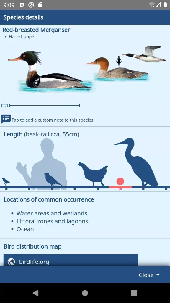 Screenshot - Details of individual bird species