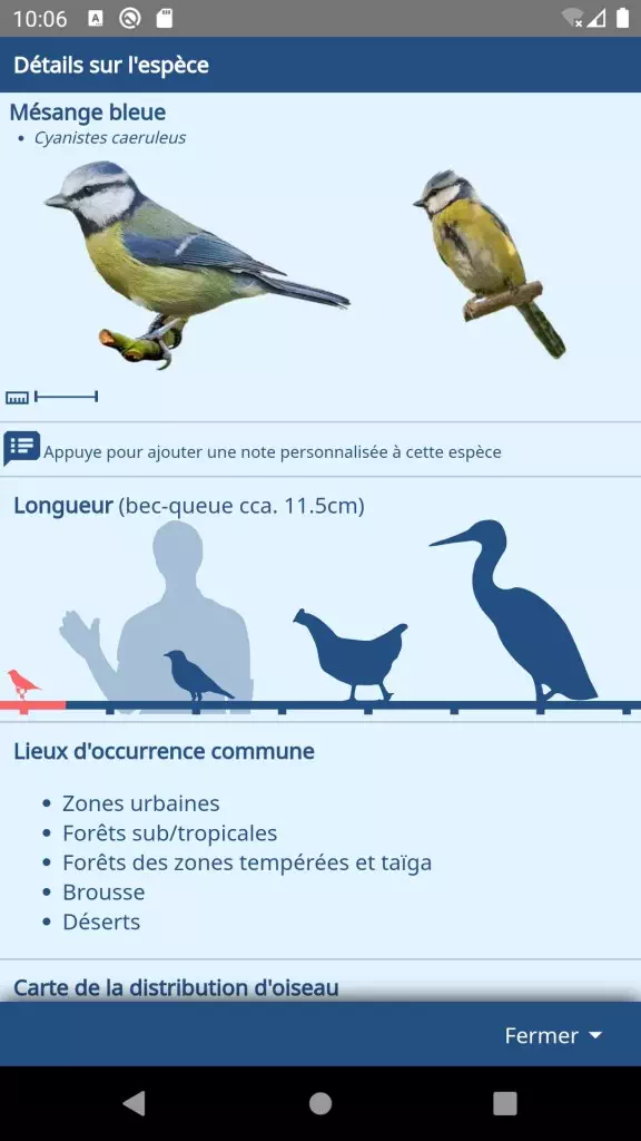 Capture d'écran - Détails des espèces d'oiseaux individuelles