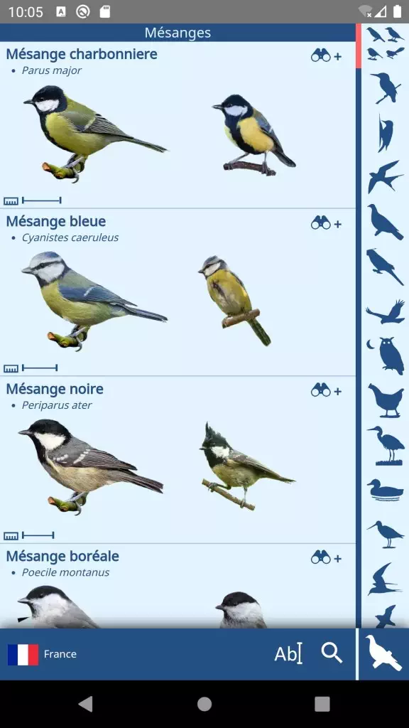 Capture d'écran - Liste des oiseaux avec catégories visuelles à droite